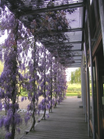 huisorgel-saamhorigheidsorgel