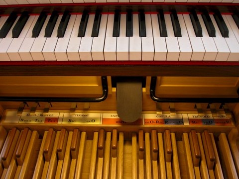 huisorgel-saamhorigheidsorgel